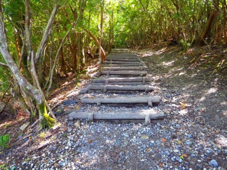 国土地理院地図にはないルートだけど登山道はかなり整備されている