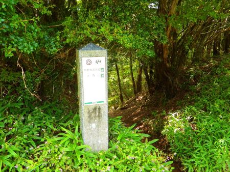さて、ピストンは面白くないので玉置神社のほうへ下っていく