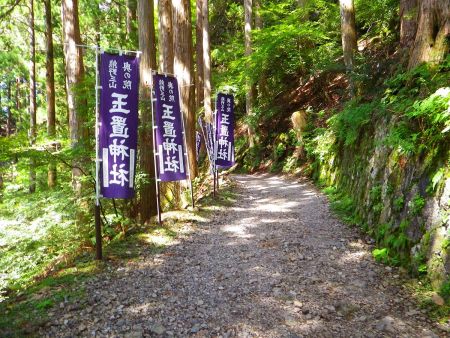 ここからは駐車場までなだらかな砂利道が続いていく