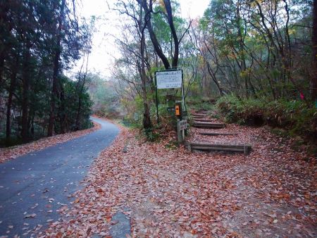 ここが富川道登山口かな？とりあえずここから矢筈ヶ岳へ向かって登っていく