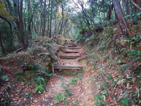 登山道は結構整備されている