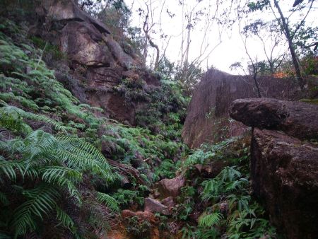 湖南アルプスっぽい雰囲気の岩がでてきた