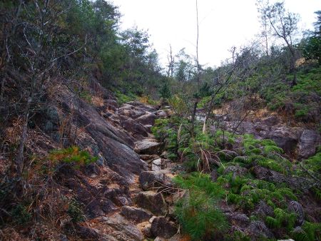 ここを登っていくんだけど、濡れていて滑り易い岩なので注意