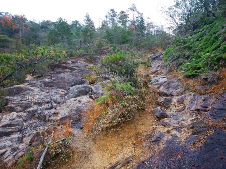 岩場というか沢というか・・・ここを左側へ渡っていくと岩場は終わる