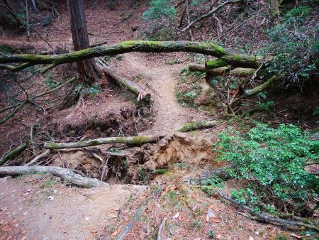 崩壊箇所。写真ではわかりにくいけどジャンプはできない幅。なんとか無理矢理行ったけど巻いたほうがよかった