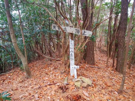 矢筈ヶ岳山頂(562m)に到着。ここでちょっと休憩