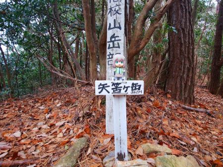 せっかくなので雪村あおいちゃんを撮影しておく