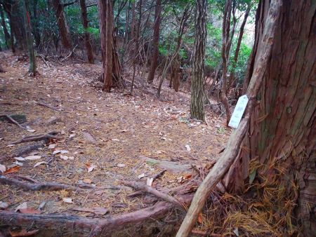 さっきの分岐に戻って太神山を目指していく