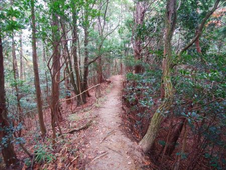東海自然歩道出合までの道は何か所かアップダウンがあるものの歩きやすい平坦な道が多い