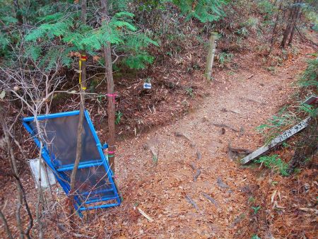東海自然歩道出合。ここをとりあえず右へ登っていく