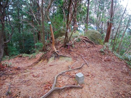 太神山山頂(599.7m)に到着。他は標高600mと書かれていたけど、四捨五入してその数値かな？