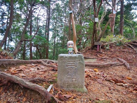 ここでも三角点と雪村あおいちゃんを撮影しておく