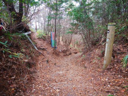 戻って東海自然歩道出合の分岐。このまま直進して下っていく