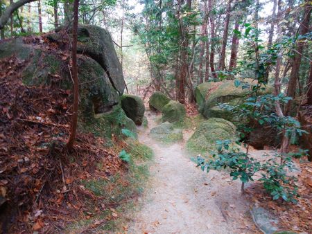 なんか岩群があってここだけ雰囲気が違った。裏側を見てみると何か祀られているようだった
