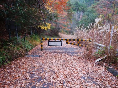 車両通行止めゲートがあった。この林道の反対側はどこまで続いてるんだろう！？