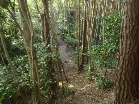 踏み跡はばっちりある