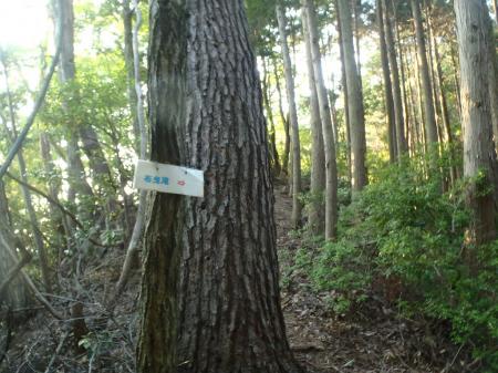 布曳滝のほうへ向かう