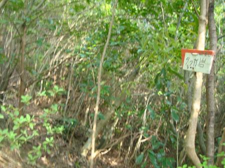 山友会の道標がある