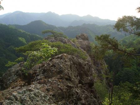 振り返ると亀ににた岩だ