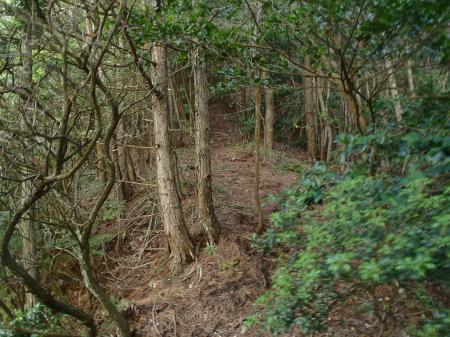 ここからは登山道になる