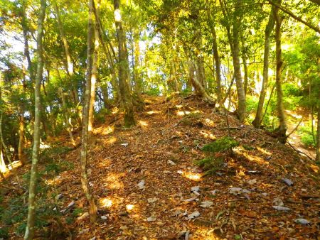 ロープが垂らしてあってひたすら直登が続く。しかも昨日は雨が降ったんだろうか、土が泥になっていて滑りやすい