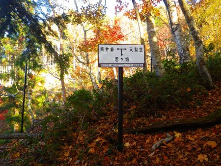 ここで筒井峠との分岐。ここまで登れば一旦急登は終わる