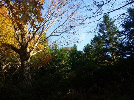 画像ではわかりにくいかもしれないけど、中央に少し尖った山が見える。あのピークが天狗堂だと思われる