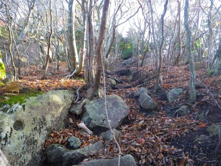 このロープ場まで登ってくればあともう少しで天狗堂の山頂に到着する