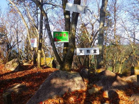 天狗堂(988m)に到着。かなりしんどい急登だったので登った達成感はあるけど、山頂には何もないんだよね