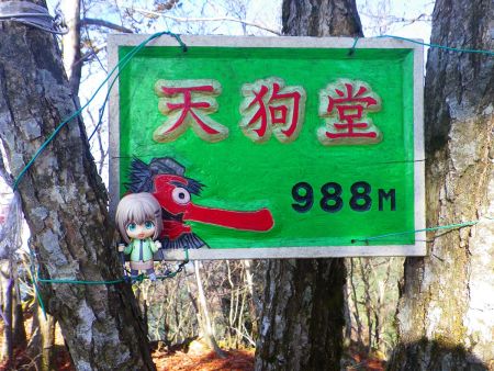 せっかくなので天狗堂の山頂看板と雪村あおいちゃんを撮影しておいた