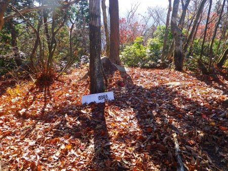 さて、天狗堂に戻って御池林道へ向かってさっさと下山することにした