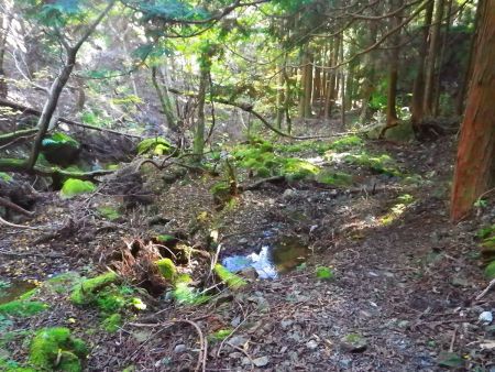 沢筋まで下ってくればあともう少しで岩尾谷登山口に到着する