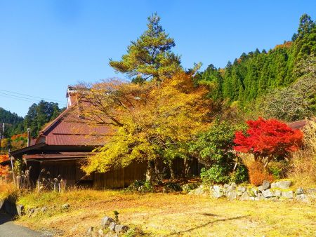 ここでちょっと絵になるような風景というか構図があったので撮影しておいた。民家と紅葉と青空がいい感じの雰囲気