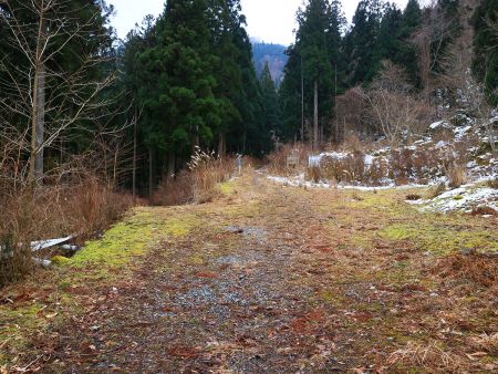 金引尾根・弥山川分岐に到着。結構早歩きだったので早く着いた