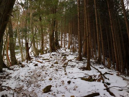 雪が少ないとはいえ、かなり滑るので下山はアイゼンを装着して下ることにした