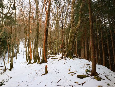 尾根に出た。ここでアイゼンを装着してちょっと休憩。ここからが急登になるんよね