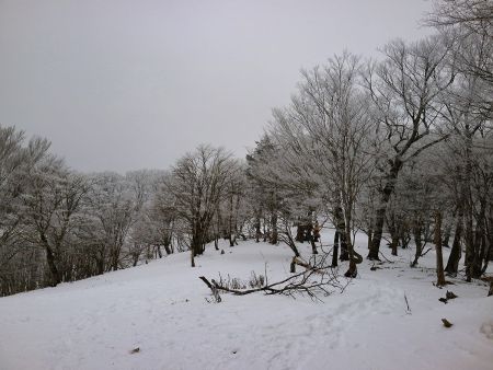 いつもはガスって何も見えなかったけど、天女の舞付近ってこんな広い場所なんだね