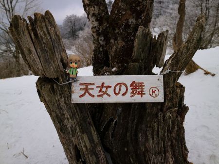 せっかくなので雪村あおいちゃんを撮影しておいた