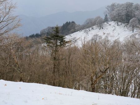 景色を撮影してみるけどこんな風になってたんだね。青空だったら最高の景色だろうね