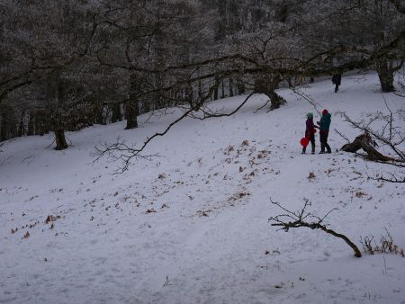 帰りはP1518経由で下ることにした。この登りも結構しんどいんだよね