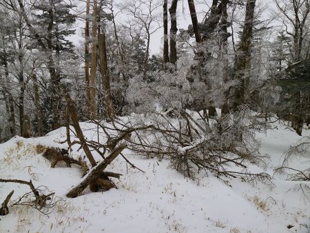 ここの景色も青空さえあれば最高なんだろうな。まあでも、今回はこれでいいや