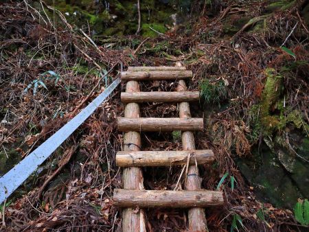 ここから登っていく。いきなりの急登のはじまり