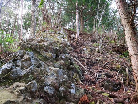 まあ無理矢理登ってるから急登なのは当たり前だけど、いつもながら最初でこれはしんどい