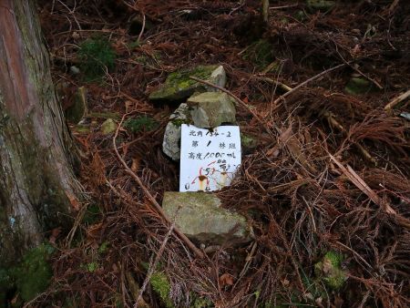 ここで標高1000mってことなのかな！？