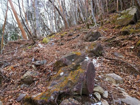 この付近からちらほら雪が出てきた