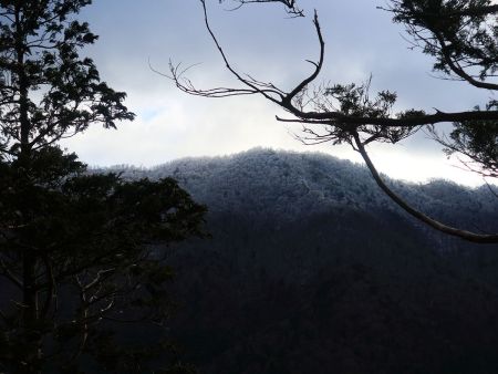 向かい側の山を見ると上のほうは霧氷になっているのでこれは期待できそう