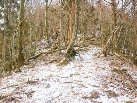 雪の量が増えてきた。高度があがっていくにつれて雪になるケースかな。でもこの時はどのくらい積もってるか予想できなかった
