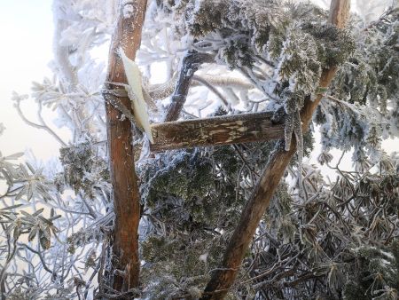 鉄山(1563m)に到着。これで鉄山は4回目だろうか。冬の鉄山は初めてだったけど登ってやった