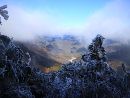 鉄山からかろうじて景色が見えたけど、すぐガスるんだよね。今日はずっとこんな感じかな！？