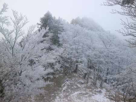 完全に霧氷はあるし雪道にもなってきた